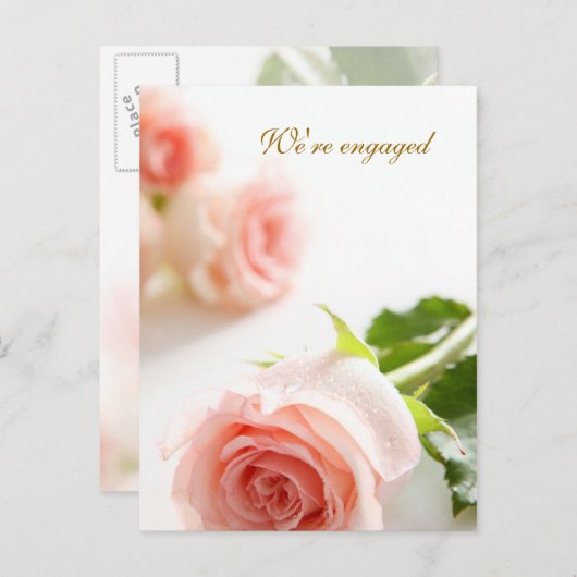 Ankündigung der Rosa-Verlobung (Vorne/Hinten)