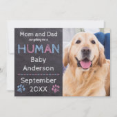 Ankündigung der Schwangerschaft von Hunden (Vorderseite)