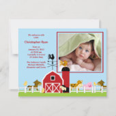 Ankündigung des Fotos "Farm Animal Baby Boy Birth" (Vorderseite)