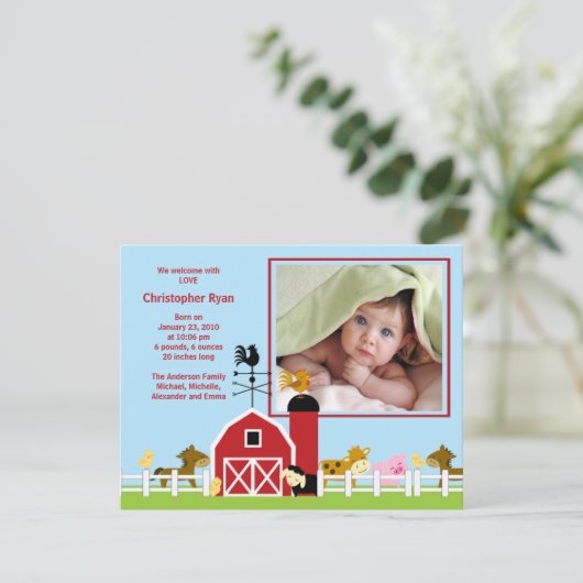 Ankündigung des Fotos "Farm Animal Baby Boy Birth" (Stehend Vorderseite)