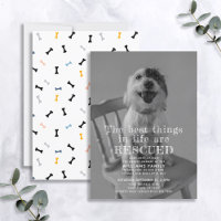 Ankündigung des Fotos "Retcuted Pet Adoption"