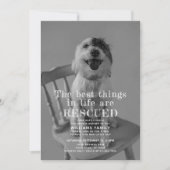 Ankündigung des Fotos "Retcuted Pet Adoption" (Vorderseite)