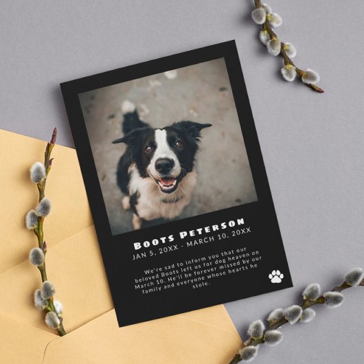 Ankündigung des Fotos "White Pawprint Pet Loss"