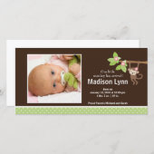 Ankündigung des kleinen Affen-Baby-Fotos (Vorne/Hinten)