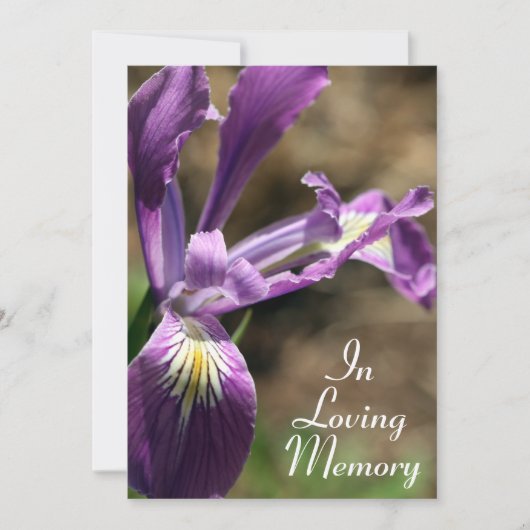 Ankündigung des Lila Iris-Gedenkens (Vorderseite)