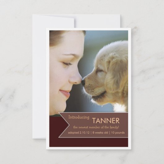 Ankündigung des neuen Fotos "Pet Brown" (Vorderseite)