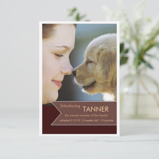 Ankündigung des neuen Fotos "Pet Brown" (Stehend Vorderseite)