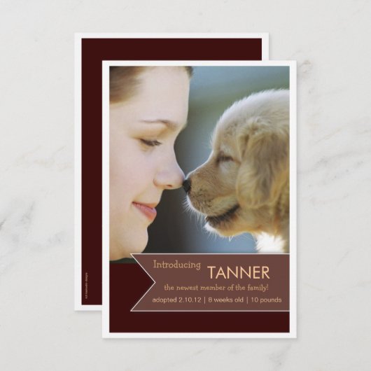 Ankündigung des neuen Fotos "Pet Brown" (Vorne/Hinten)