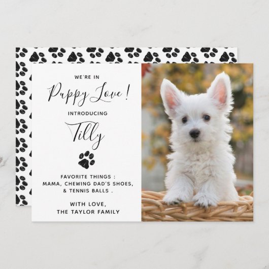 Ankündigung des neuen Hundes für Haustiere (Vorne/Hinten)