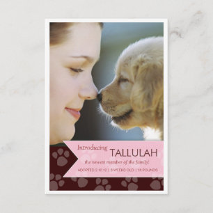 Ankündigung des neuen Pet Brown Pink Banner-Fotos