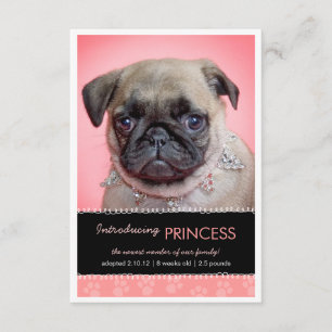 Ankündigung des neuen Pet Pink Paw Prints Foto