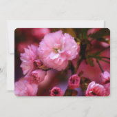 Ankündigung des Rosa-Kirsche-Gedenkens (Rückseite)