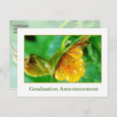 Ankündigung des Wilden Gelben Abschluss (Vorne/Hinten)