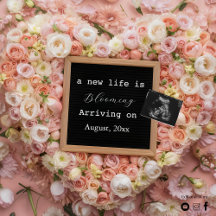 Ankündigung einer digitalen Vollschwangerschaft