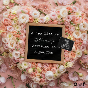 Ankündigung einer digitalen Vollschwangerschaft