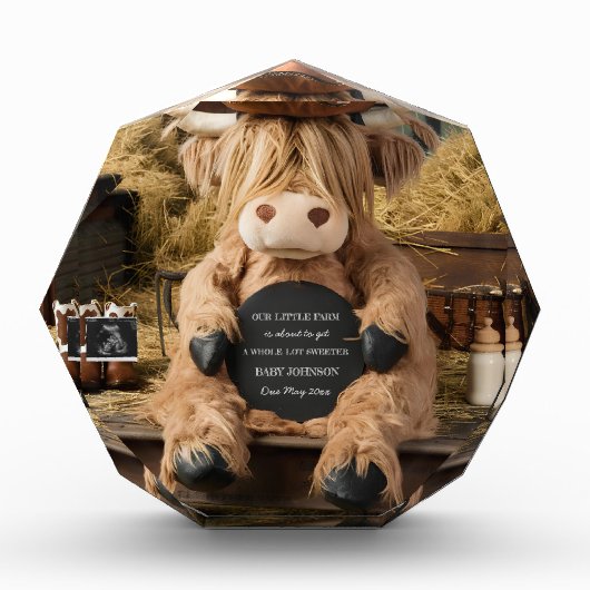 Ankündigung einer Schwangerschaft im Hochland Fotoblock (Vorderseite)