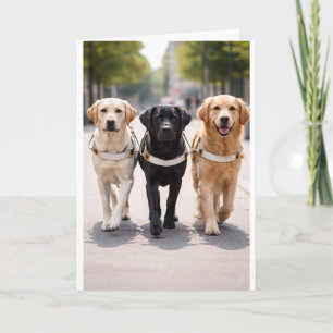 Ankündigung eines Blindenführhund-Teams Vorwärts g