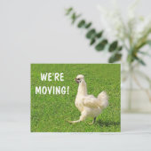 Ankündigung Hühner-Postkarte verschieben Postkarte (Stehend Vorderseite)