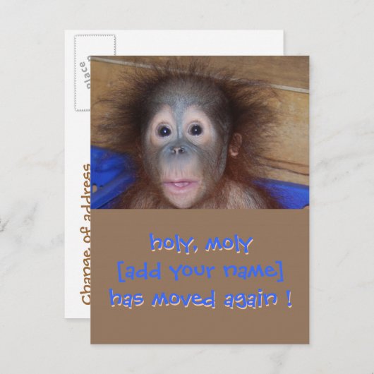 Ankündigung "Neue Adresse verschieben" (Vorne/Hinten)