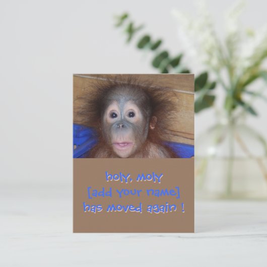 Ankündigung "Neue Adresse verschieben" (Stehend Vorderseite)