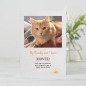 Ankündigung über das Verschieben von Cat-Foto (Stehend Vorderseite)