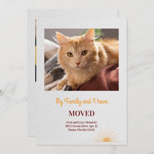 Ankündigung über das Verschieben von Cat-Foto (Vorne/Hinten)