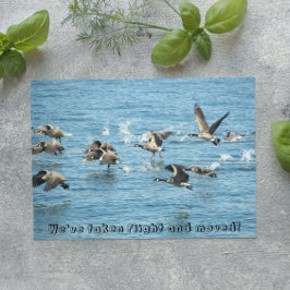 Ankündigung über den Fliegenflug