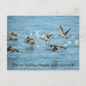 Ankündigung über den Fliegenflug (Vorderseite)