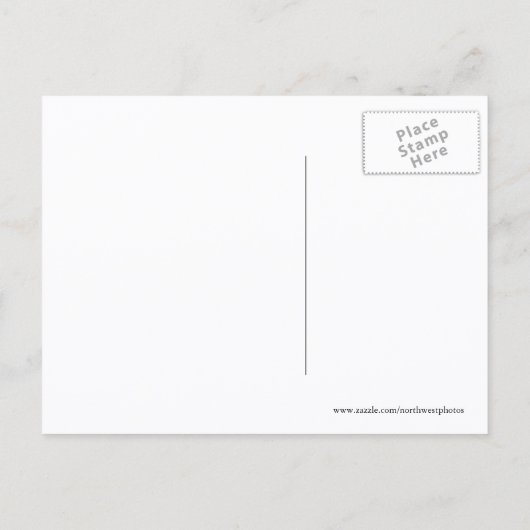 Ankündigung über den Fliegenflug (Rückseite)