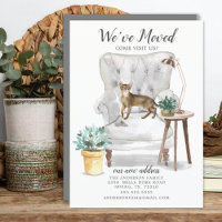 Ankündigung über die Abyssinienkatze