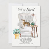 Ankündigung über die Abyssinienkatze (Vorderseite)