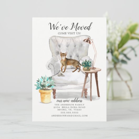 Ankündigung über die Abyssinienkatze (Stehend Vorderseite)