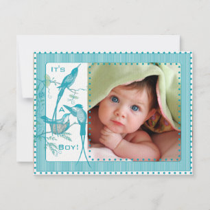 Ankündigung von Baby Boy Aqua Vintag Birds Picture