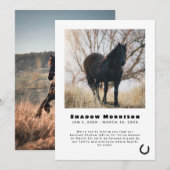 Ankündigung von Black Horseshoe Horse Loss Foto (Vorne/Hinten)