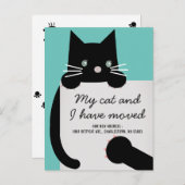 Ankündigung von Black Kitty Cat Light Aquamarin Mo (Vorne/Hinten)