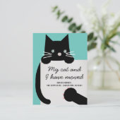 Ankündigung von Black Kitty Cat Light Aquamarin Mo (Stehend Vorderseite)