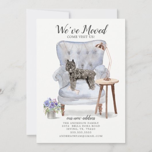 Ankündigung von Bouvier des Flandres Moving (Vorderseite)