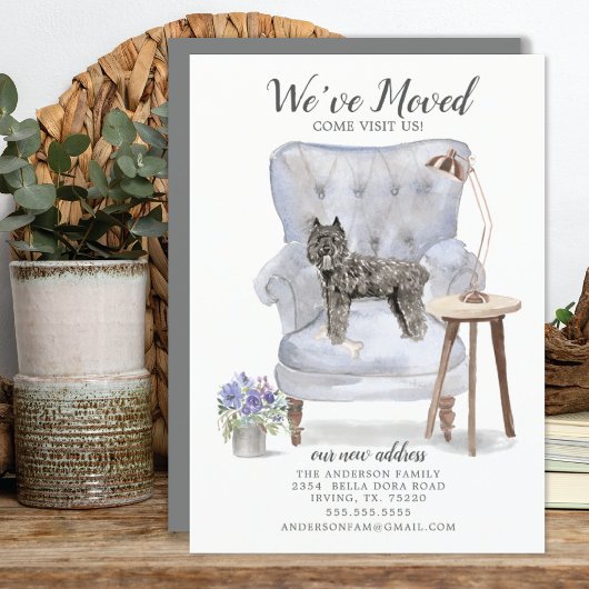 Ankündigung von Bouvier des Flandres Moving