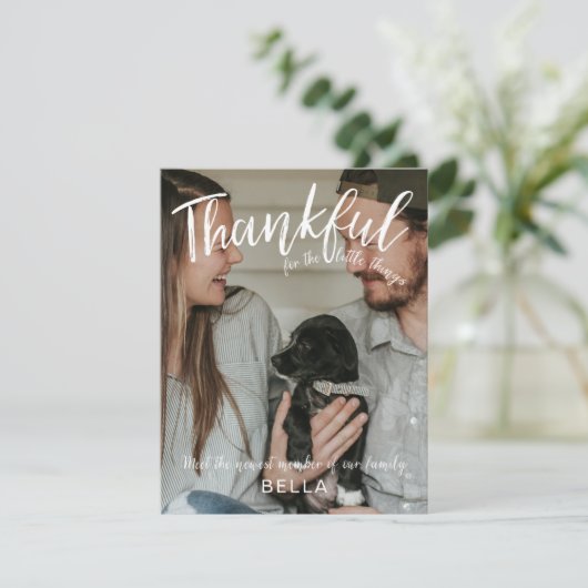 Ankündigung von Erntedank Neues Foto für Familiena (Stehend Vorderseite)