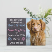 Ankündigung von Guard Dog Pregnancy (Stehend Vorderseite)