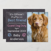 Ankündigung von Guard Dog Pregnancy (Vorne/Hinten)