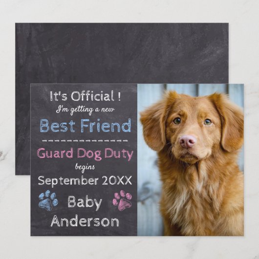 Ankündigung von Guard Dog Pregnancy (Vorne/Hinten)