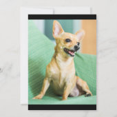 Ankündigung von Haustieren für Baby-Foto-Collage (Rückseite)