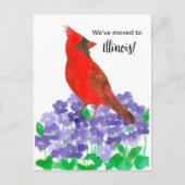 Ankündigung von Illinois Kardinal Bird Violets Postkarte (Vorderseite)