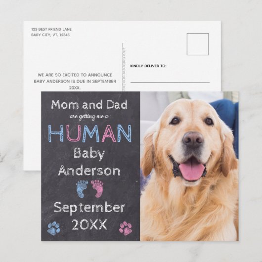 Ankündigung von Kinderschwangerschaft (Vorne/Hinten)