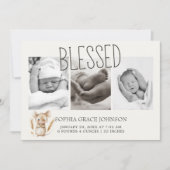 Ankündigung von Kleintieren von Kinderzimmern (Vorderseite)