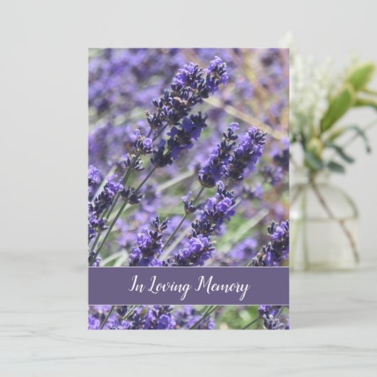 Ankündigung von Lavender Blume (Stehend Vorderseite)