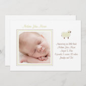 Ankündigung von Little Lamb (Vorne/Hinten)