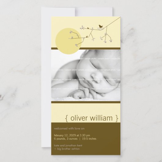 Ankündigung von Nesting Bird & Family Baby Boy (Vorderseite)