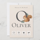 Ankündigung von niedlichen Chipmunk Baby Birth Sta (Vorderseite)